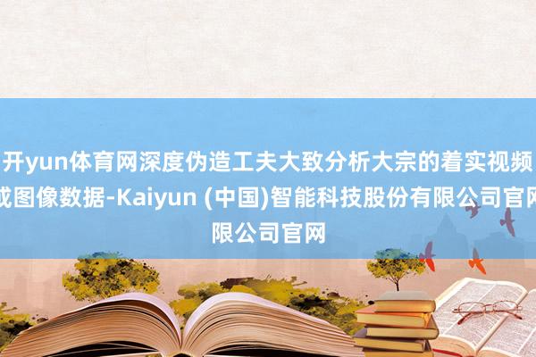 开yun体育网深度伪造工夫大致分析大宗的着实视频或图像数据-Kaiyun (中国)智能科技股份有限公司官网