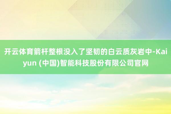 开云体育箭杆整根没入了坚韧的白云质灰岩中-Kaiyun (中国)智能科技股份有限公司官网