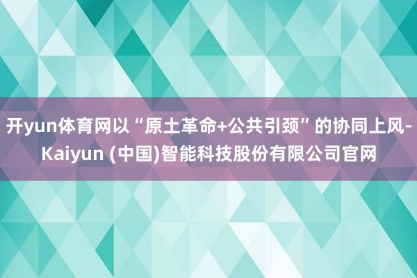 开yun体育网以“原土革命+公共引颈”的协同上风-Kaiyun (中国)智能科技股份有限公司官网
