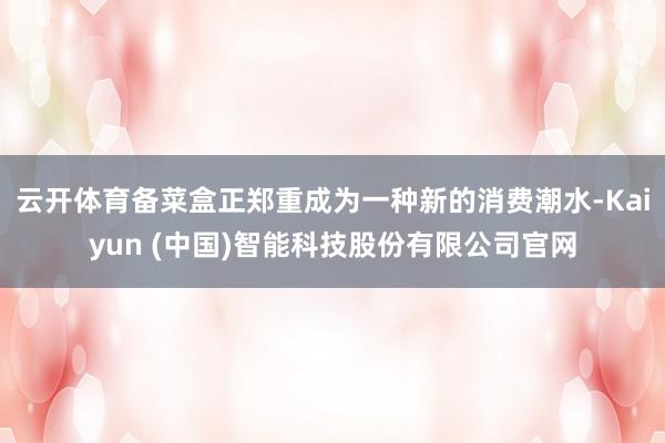 云开体育备菜盒正郑重成为一种新的消费潮水-Kaiyun (中国)智能科技股份有限公司官网