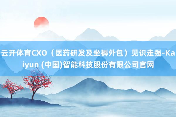 云开体育CXO（医药研发及坐褥外包）见识走强-Kaiyun (中国)智能科技股份有限公司官网