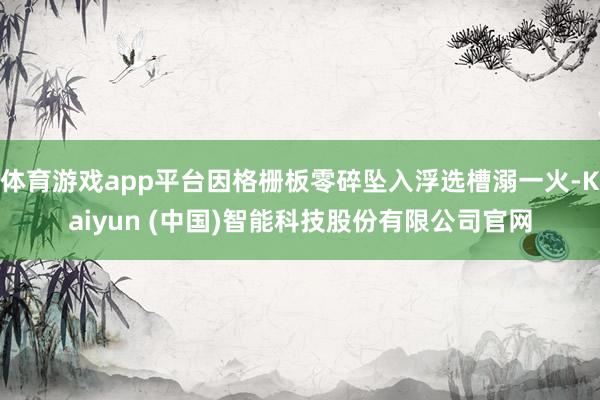 体育游戏app平台因格栅板零碎坠入浮选槽溺一火-Kaiyun (中国)智能科技股份有限公司官网