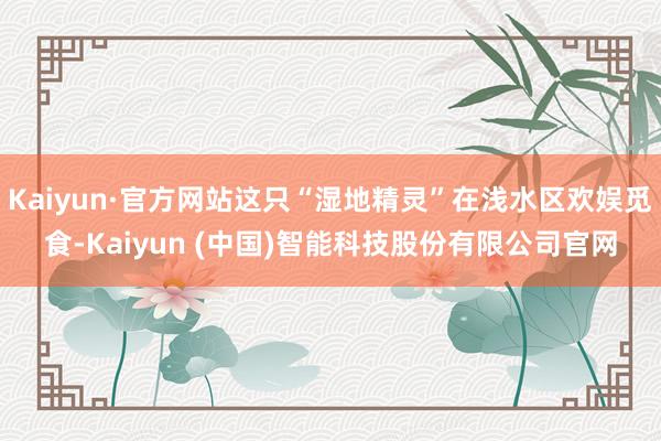 Kaiyun·官方网站这只“湿地精灵”在浅水区欢娱觅食-Kaiyun (中国)智能科技股份有限公司官网
